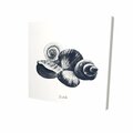 Begin Home Decor 32 x 32 in. Blue Seaside Shells-Print on Canvas 2080-3232-CO129-1